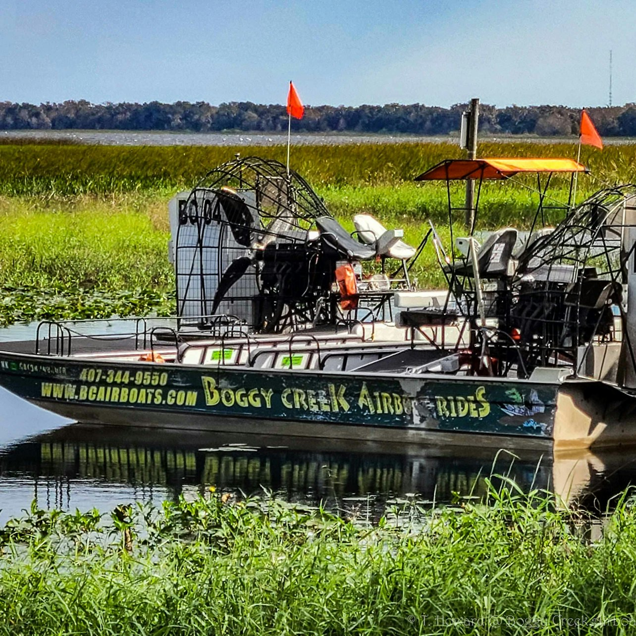 Everglades: 1-Hour Boggy Creek Airboat Tour at Southport Park - Photo 1 of 21